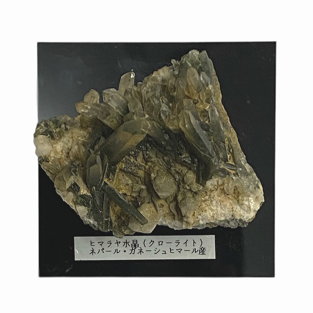 天然石  ガネーシュヒマール産  ヒマラヤ水晶 クラスター  クローライトINクォーツ（2571）プレート付きの画像