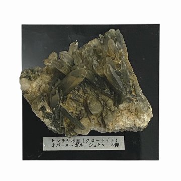 天然石  ガネーシュヒマール産  ヒマラヤ水晶 クラスター  クローライトINクォーツ（2571）プレート付きの画像