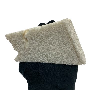 天然白珊瑚 サンゴ　(2579）インテリア 置き飾り 貝殻 標本 限定品の画像
