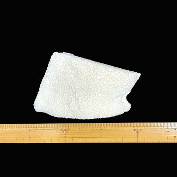 天然白珊瑚 サンゴ　(2579）インテリア 置き飾り 貝殻 標本 限定品の画像