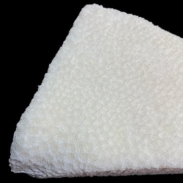 天然白珊瑚 サンゴ　(2579）インテリア 置き飾り 貝殻 標本 限定品の画像