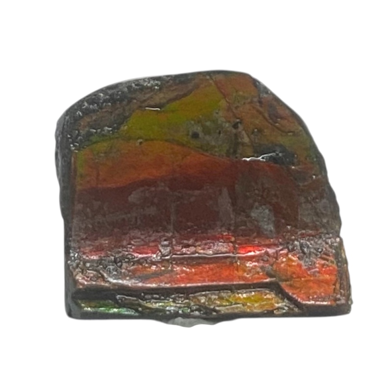 天然石 アンモライト 原石（25107）【一点もの】の画像