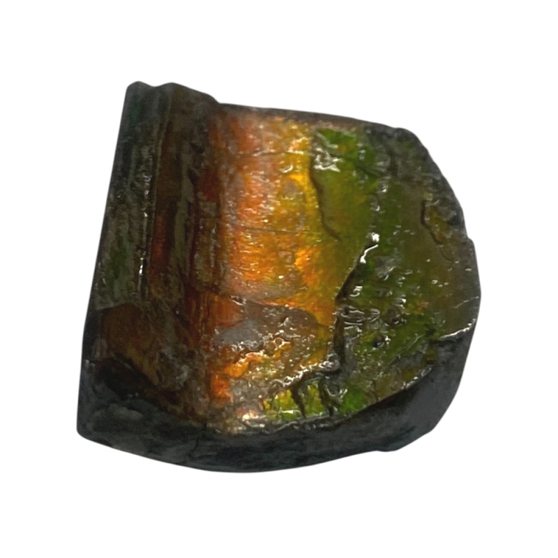 天然石 アンモライト 原石（25107）【一点もの】の画像