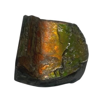 天然石 アンモライト 原石（25107）【一点もの】の画像