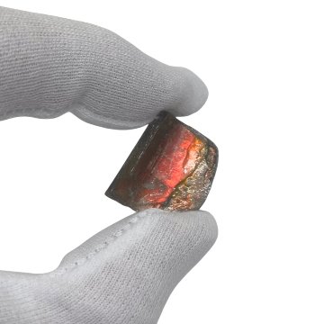 天然石 アンモライト 原石（25107）【一点もの】の画像