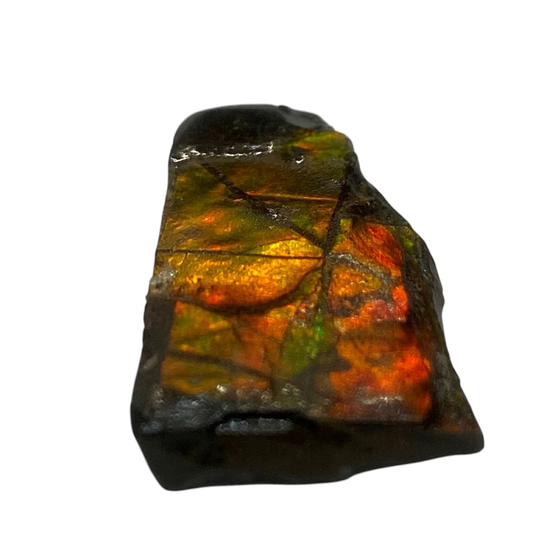 天然石 アンモライト 原石（25108）【一点もの】 | kiraworld