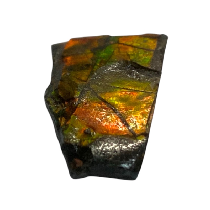 天然石 アンモライト 原石（25108）【一点もの】 | kiraworld (キラ