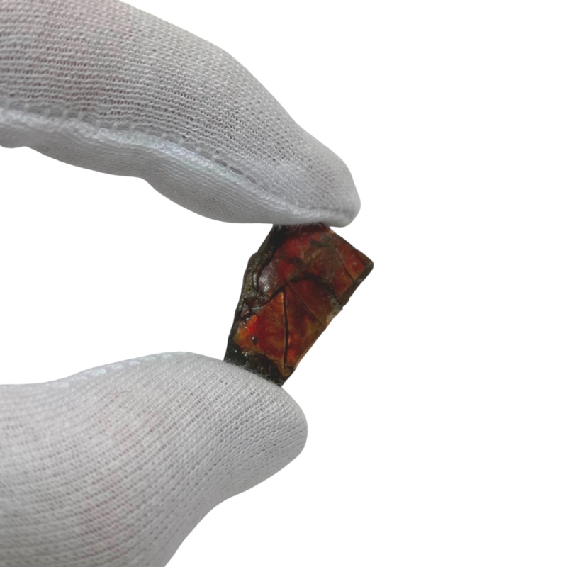 天然石 アンモライト 原石（25108）【一点もの】の画像