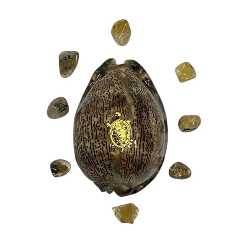 おまけ付き☆ 金運 財運 繁栄 お宝 タカラガイ ゴールド銭亀 ゴールドルチルクォーツのセット(2606) 開運 金運 風水 お守り 黄金の開運護符 開運アイテムの画像