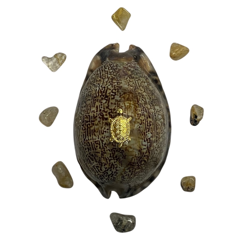 おまけ付き☆ 金運 財運 繁栄 お宝 タカラガイ ゴールド銭亀 ゴールドルチルクォーツのセット(2607) 開運 金運 風水 お守り 黄金の開運護符 開運アイテムの画像