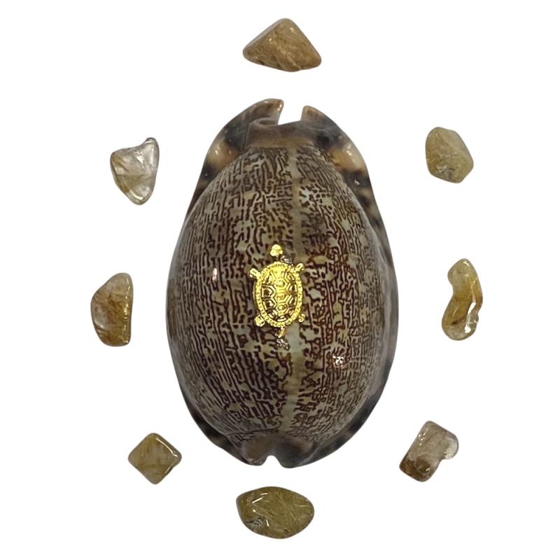 おまけ付き☆ 金運 財運 繁栄 お宝 タカラガイ ゴールド銭亀 ゴールドルチルクォーツのセット(2610) 開運 金運 風水 お守り 黄金の開運護符 開運アイテムの画像