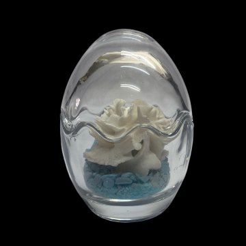 天然白珊瑚 たまごサンゴ　(2640）インテリア 置き飾り 貝殻 標本 限定品の画像