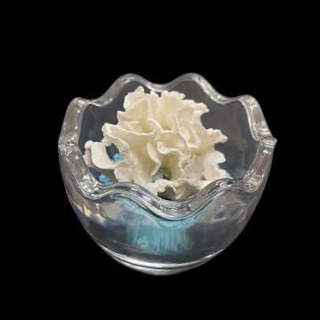 天然白珊瑚 たまごサンゴ　(2640）インテリア 置き飾り 貝殻 標本 限定品の画像