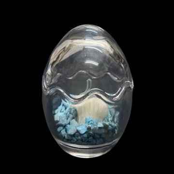 天然白珊瑚 たまごサンゴ　(2641）インテリア 置き飾り 貝殻 標本 限定品の画像