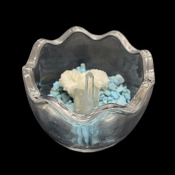 天然白珊瑚 たまごサンゴ　(2641）インテリア 置き飾り 貝殻 標本 限定品の画像