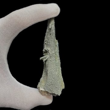 天然石  ガネーシュヒマール産  ヒマラヤ水晶 ポイント クローライトINクォーツ（26133）の画像