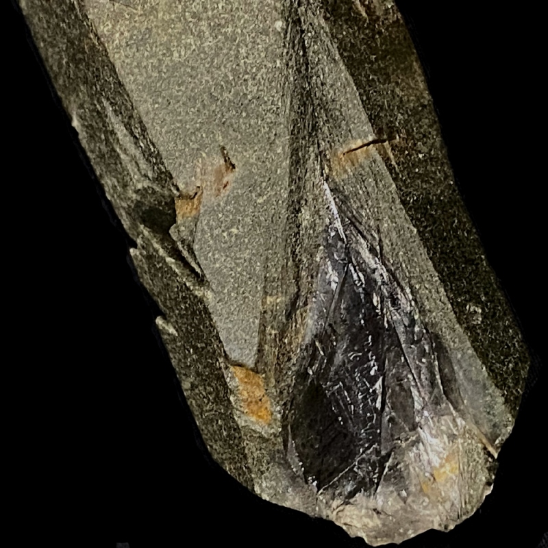 天然石  ガネーシュヒマール産  ヒマラヤ水晶 ポイント クローライトINクォーツ（26135）の画像