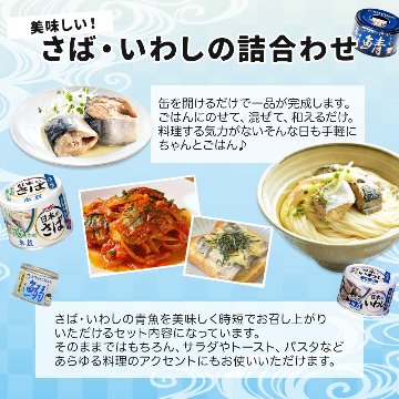 【食塩不使用】 国産 高級 缶詰 6種24缶 詰め合わせ プレミアムセット サバ缶 いわし缶 さんま缶 水煮 減塩 無塩 伊藤食品 宝幸 umios の画像