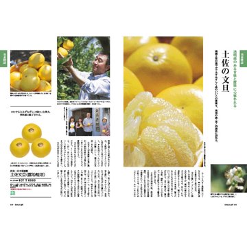 dancyuグルメギフトカタログ CA 6000円の画像