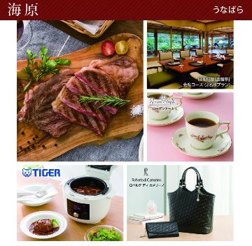20%OFF★送料無料 奏 Kanade 海原（うなばら）カタログギフト/50,900円コースの画像
