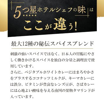 5つ星ホテルシェフが作った 【ヘルシー3種セット】スリランカカレー3個セット 地元人気店 アルッガマゲの画像