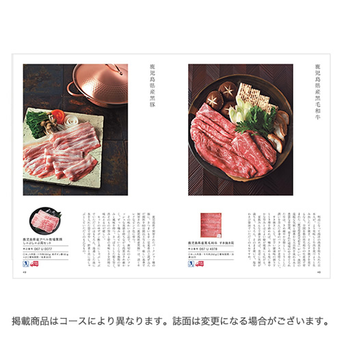 カタログギフト 日本のおいしい食べ物 橙 4000円の画像