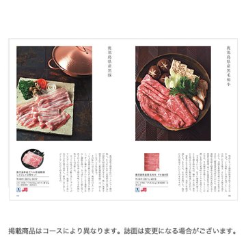 カタログギフト 日本のおいしい食べ物 橙 4000円の画像