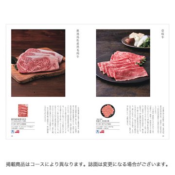 カタログギフト 日本のおいしい食べ物 唐金（からかね） 41200円の画像