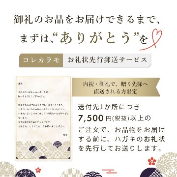 e.モデル 01 磁気ネックレス プラチナL アングルの画像