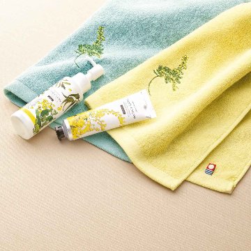 ウォッシュタオル ＆ コスメセット グリーン ミアミモザの画像