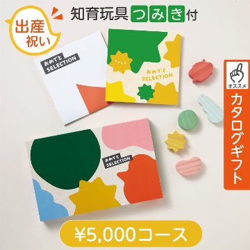 知育玩具付カタログギフト おめでとセレクション とことこの画像