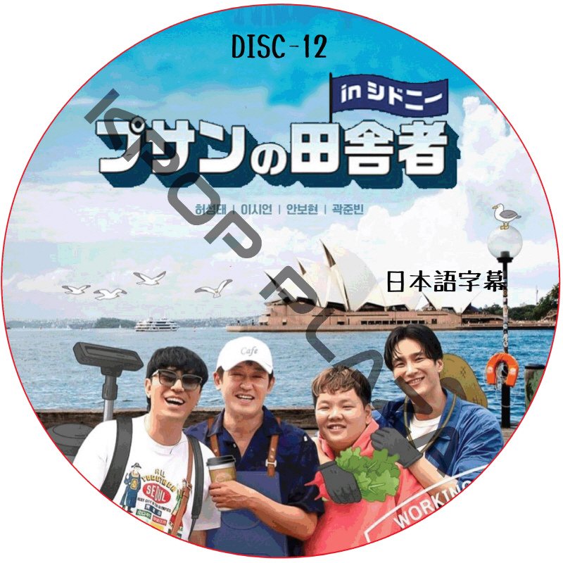 プサンの田舎者 in シドニー (DISC 12) 日本語字幕 / [出演者 : ホ・ソンテ, アン・ボヒョン, イ･シオン 他] [K-POP DVD]の画像