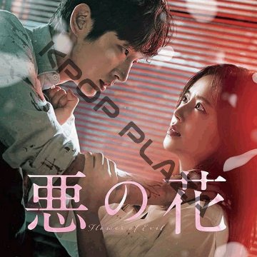 [韓国ドラマ] 悪の花 全16話 (8枚セット) 日本語字幕 の画像