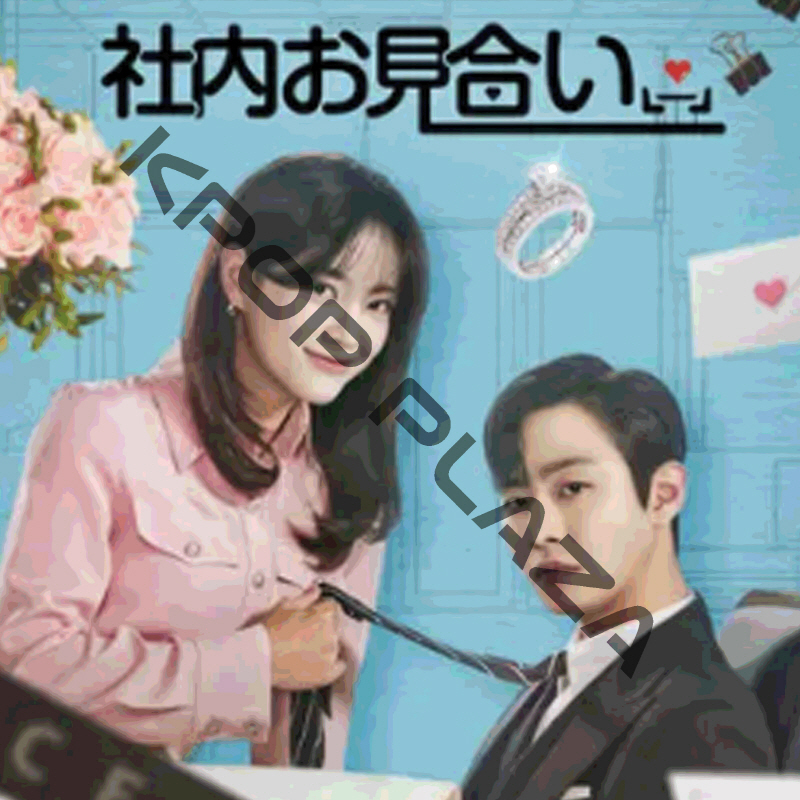 [韓国ドラマ] 社内お見合い 全12話 (6枚セット) 日本語字幕 の画像