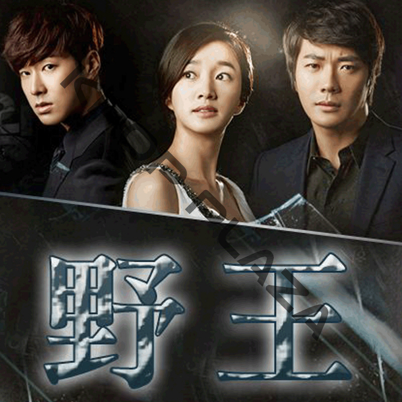 [韓国ドラマ] 野王 DVD版 全24話 (12枚セット) 日本語字幕 の画像