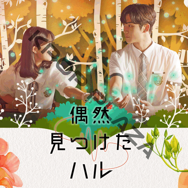 偶然見つけたハルost 写真集セット 偶然見つけたハル DVD-BOX1