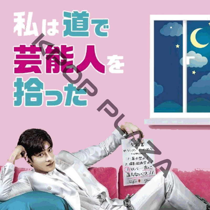 [韓国ドラマ] 私は道で芸能人を拾った DVD版 全10話 (5枚セット) 日本語字幕 の画像