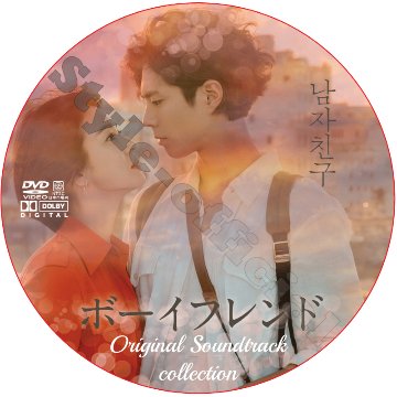 ボーイフレンド OST COLLECTION DVD PARK BO GUM SONG HAE GYO [K-POP DVD]の画像