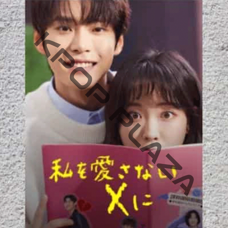 [韓国ドラマ] 私を愛さないXに DVD版 全10話 (5枚セット) 日本語字幕 の画像