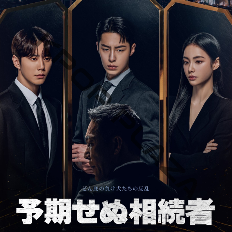 [韓国ドラマ] 予期せぬ相続者 DVD版 全12話 (6枚セット) 日本語字幕 / 出演 [イ・ジェウク, イ・ジュニョン, ホン・スジュ 他] [K-POP DVD]の画像