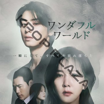 [韓国ドラマ] ワンダフルワールド 全14話 (7枚セット) 日本語字幕の画像