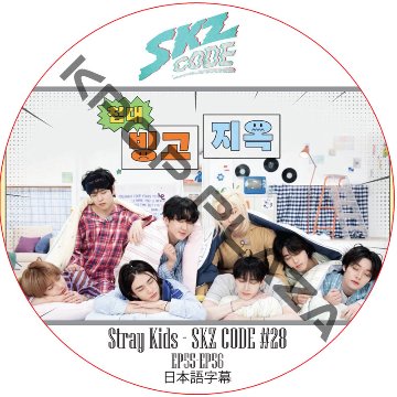 STRAY KIDS SKZ CODE #28 (EP55-EP56) 日本語字幕 / ストレイキッズ [K-POP DVD]の画像
