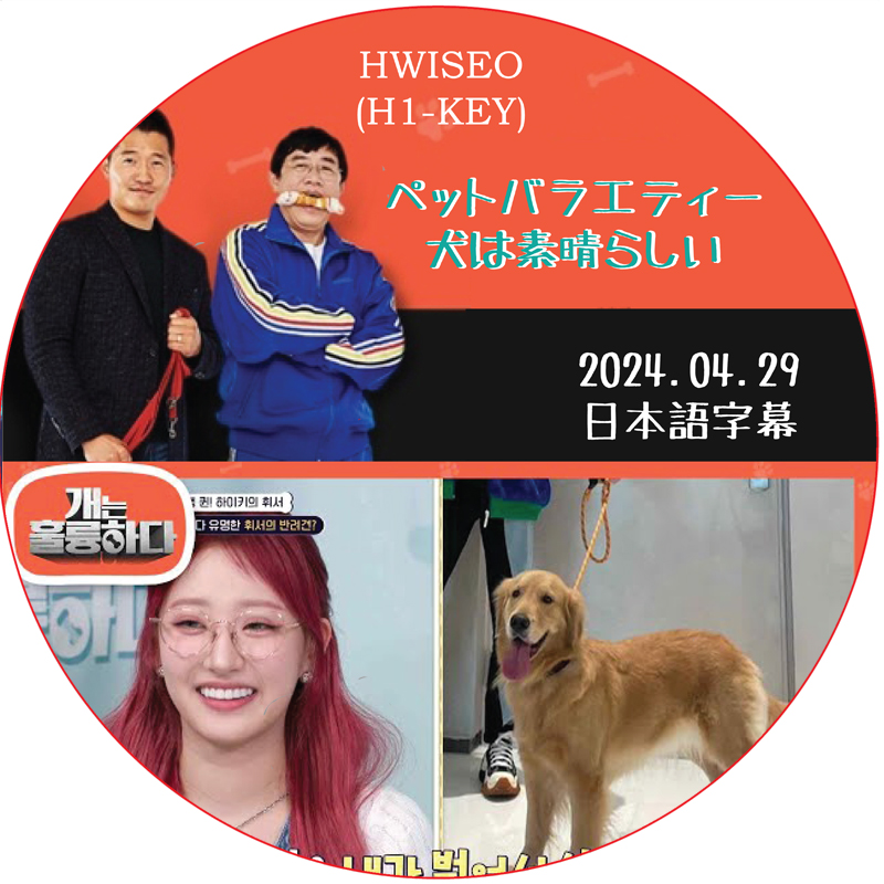 犬は素晴らしい (2024.04.29) 日本語字幕 / [出演者 : HWISEO (H1-KEY) 他]の画像