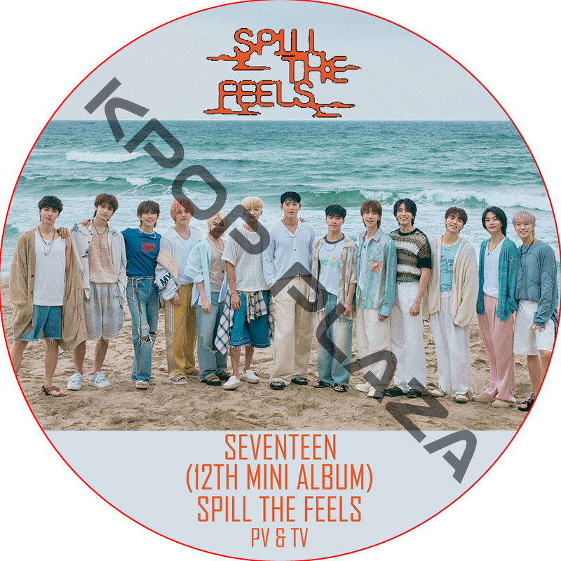 SEVENTEEN PV & TV COLLECTION (Spill the Feels) / SVT DVD セブチ [K-POP DVD]の画像