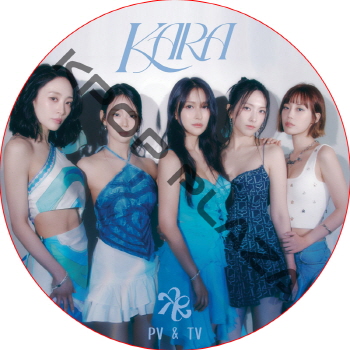 KARA PV & TV COLLECTION (I DO I DO) / カラ KARA DVD [K-POP DVD]の画像