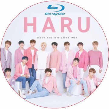 [Blu-ray] SEVENTEEN 2019 JAPAN TOUR HARU 日本語音声 / SVT セブチ[K-POP DVD]の画像