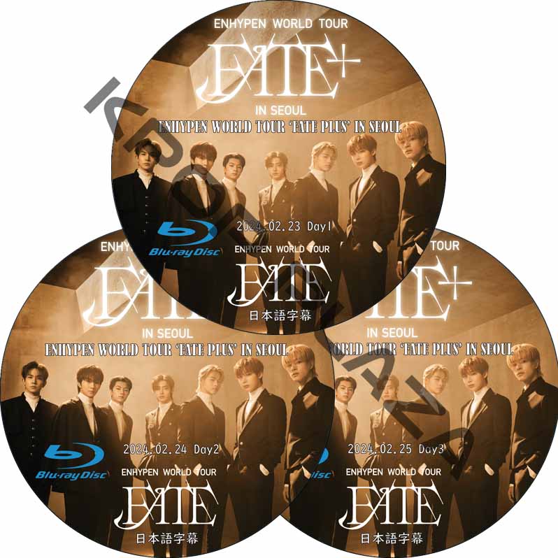 ❤︎ ENHYPEN DVD 日本語字幕付き K-POP DVD ENHYPEN COACHELLA コンサート 2025.04.12 日本語字幕