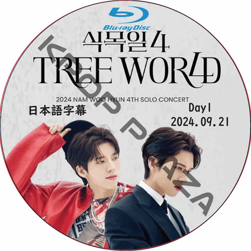 [Blu-ray] 2024 NAM WOO HYUN 4TH SOLO CONCERT [TREE WORLD] Day1 (2024.09.21) 日本語字幕 / ナム・ウヨンの画像