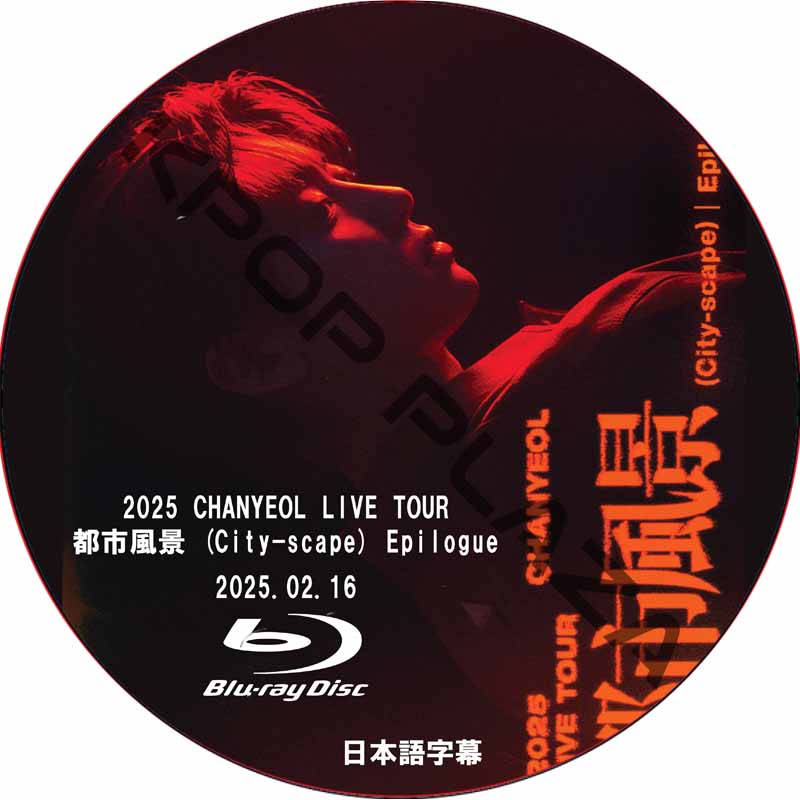 [Blu-ray] 2025 CHANYEOL LIVE TOUR 都市 風景 (City-scape) Epilogue in SEOUL (2025.02.16) 日本語字幕の画像