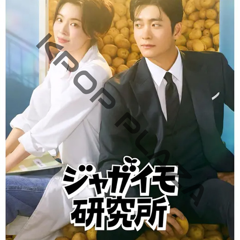 [韓国ドラマ] ジャガイモ研究所 全12話 (6枚セット) 日本語字幕 / [出演者 : イ・ソンビン、カン・テオ、イ・ハクジュ 他]の画像